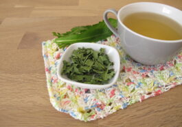 Warum Bitterstoffe wichtig sind – und welche Rolle Bitterspray in einer modernen Ernährung spielen kann